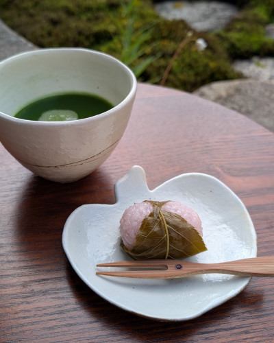 白鉄線フリーカップ・りんご皿